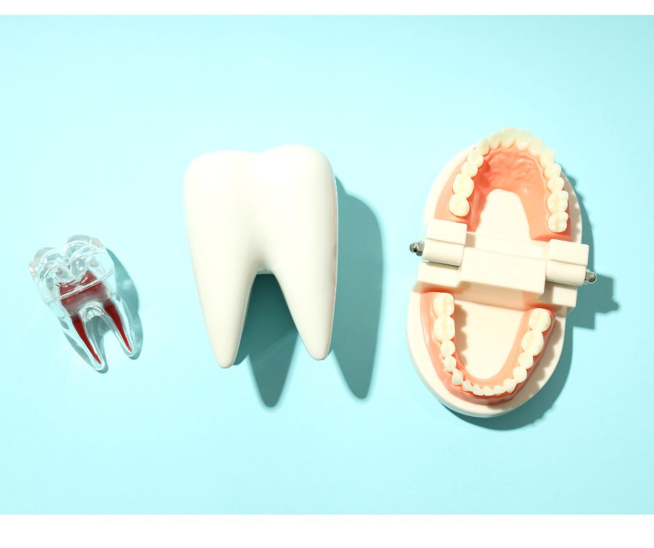 和光市　歯医者　和光市デンタルオフィス　歯を失わない予防